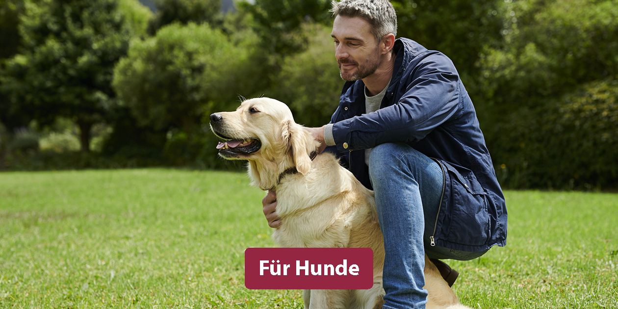 animonda - Futter für Hunde