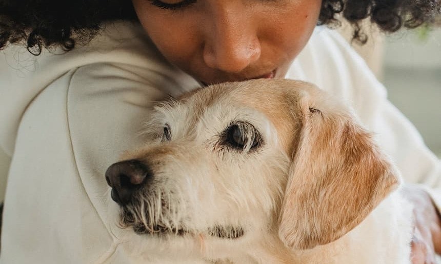 Tipps zur Erstausstattung für den Hund Hundewelpe wird umarmt