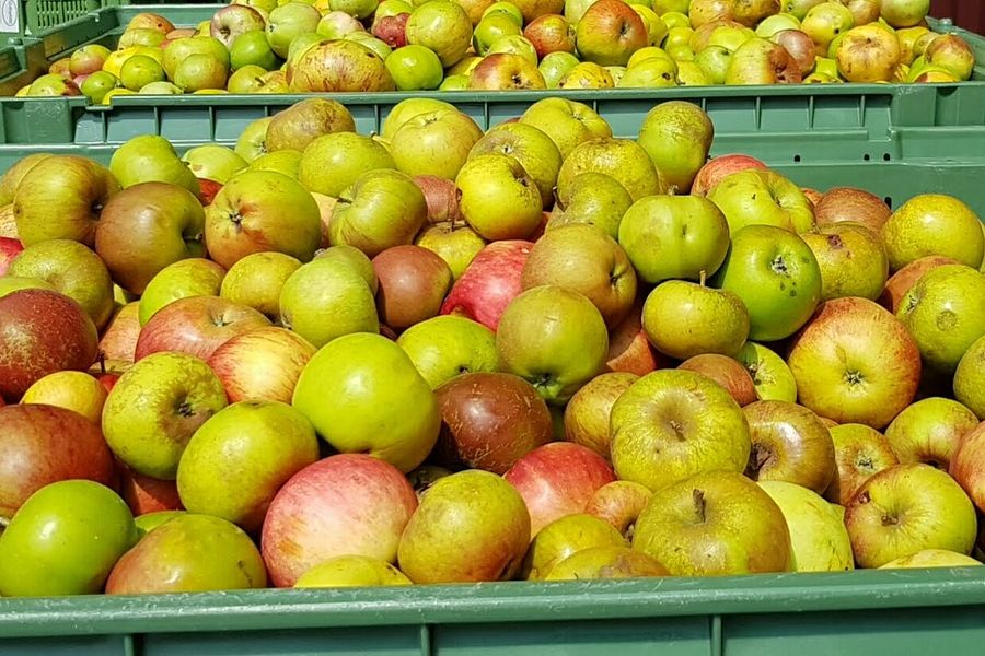 Kisten voller frischer Äpfel
