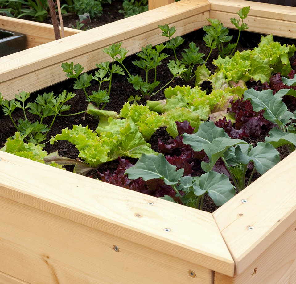 Eigenes Hochbeet anlegen – so wird´s gemacht