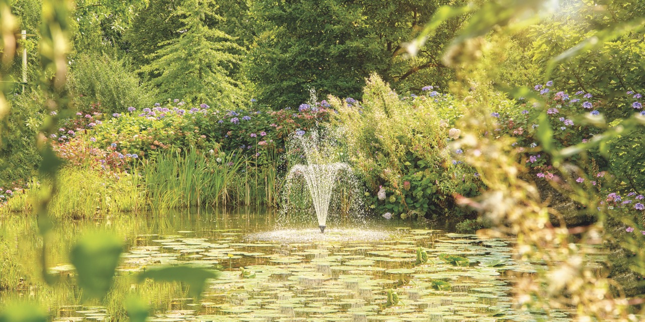 Oase Produktneuheiten 2025 Content Bild