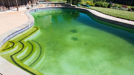 Wie halte ich meinen Pool sauber?