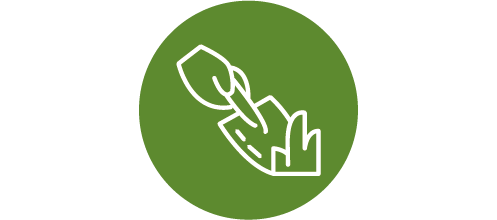 Icon: Rasenkrankheiten behandeln