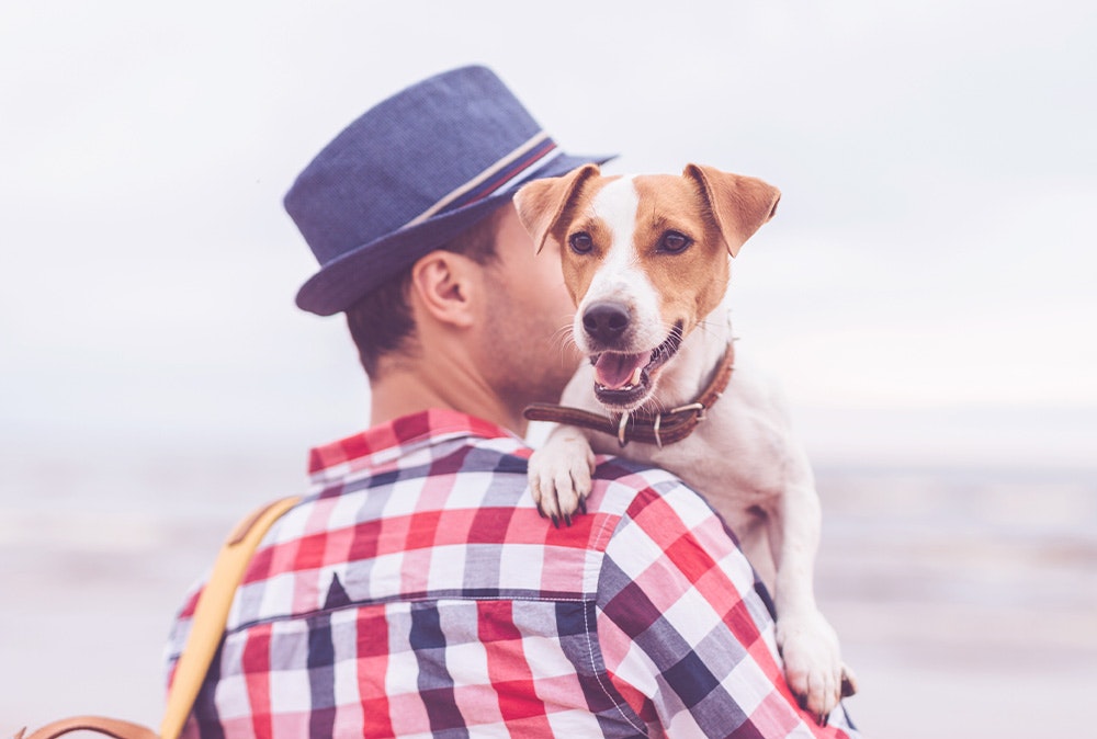 Happy Dog Mini Hundefutter für kleine Hunde von Happy Dog