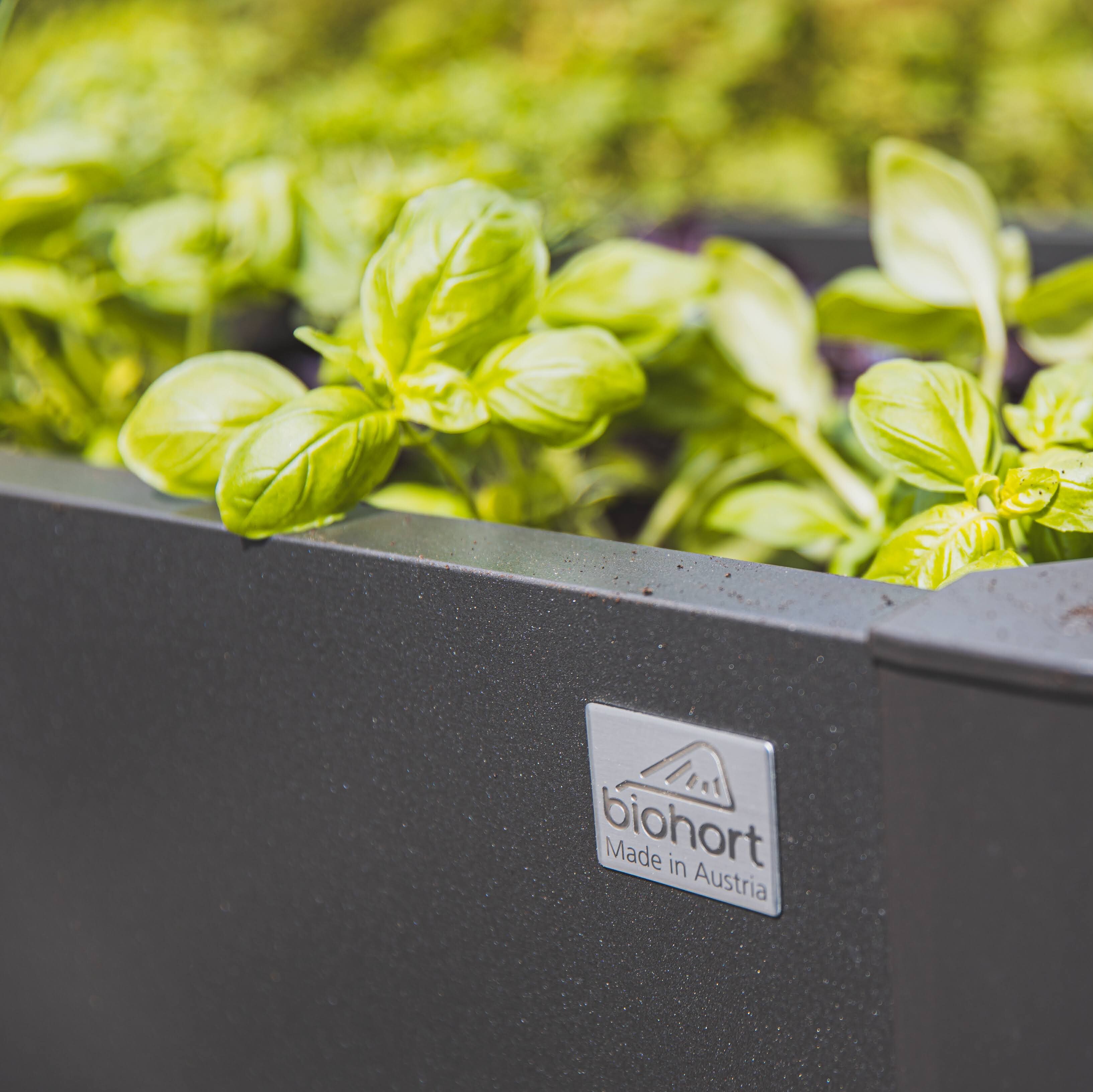 Hochbeet bauen und bepflanzen - viel Ertrag auf kleiner Fläche