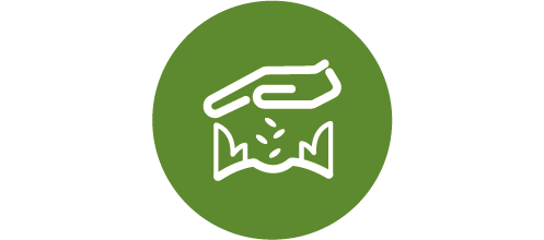 Icon: Rasen nachsähen und ausbessern