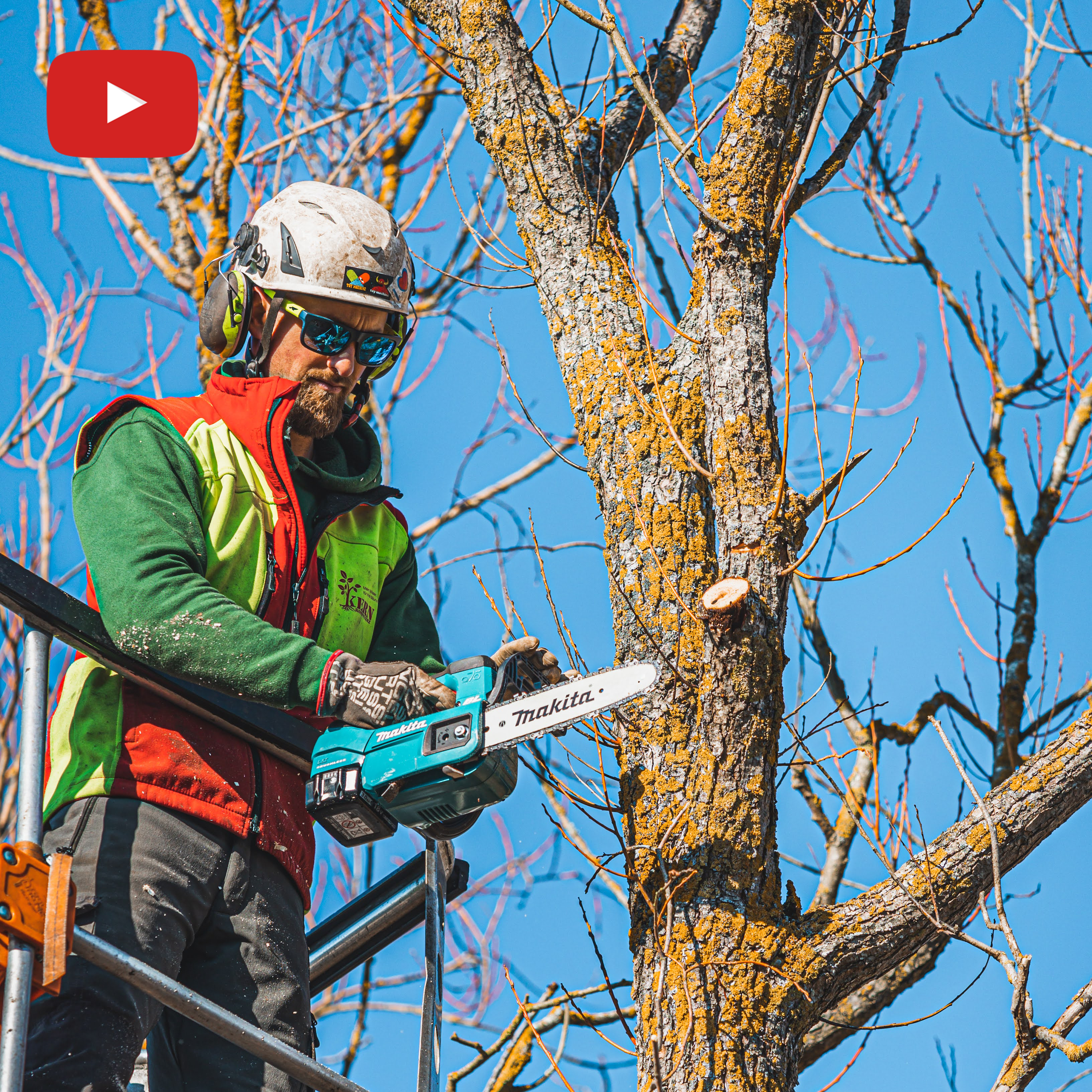 Getestet: Top Handle-Säge von Makita