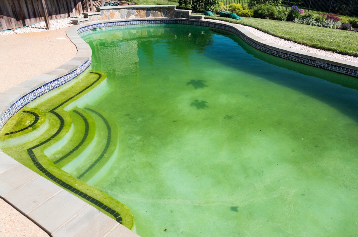 Pool mit grün verfärbtem Wasser Pool mit grün verfärbtem Wasser