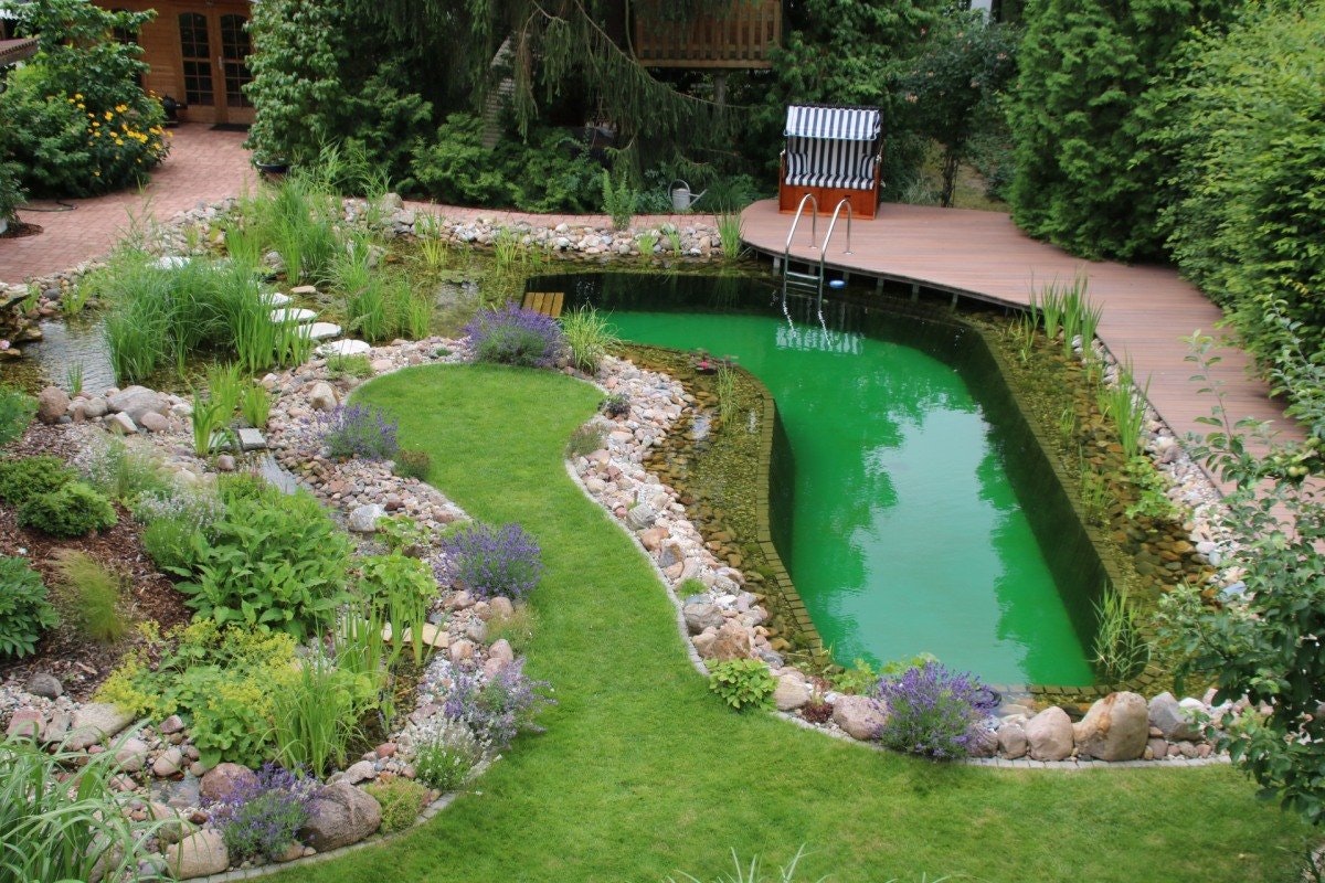 Schwimmteich mit Liegefläche und Pflanzzone Schwimmteich mit Liegefläche und Pflanzzone