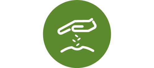 Icon: Aussäen von Rasensamen