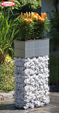 Bellissa Pflanzengabione Bellissa Pflanzengabione