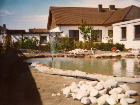 Teich im Garten Teich im Garten