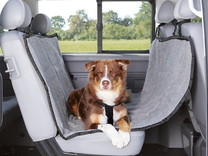 Hunde Transport & Reise Autoschutzdecken Ein Hund ruht auf den Rücksitzen, die sorgsam mit einer Autoschutzdecke bedeckt sind.