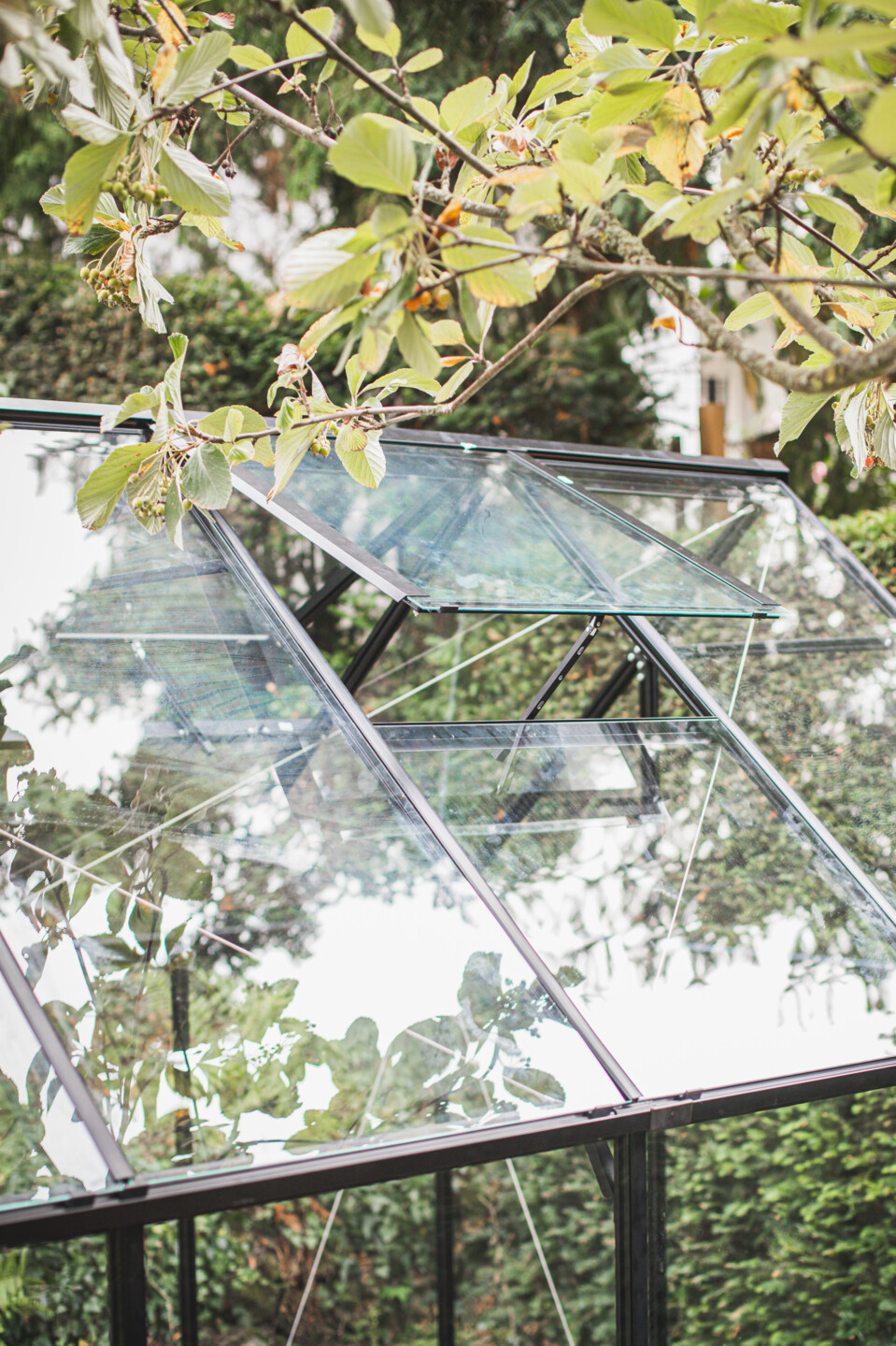 Die beweglichen Dachfenster werden vormontiert und als erstes eingesetzt.