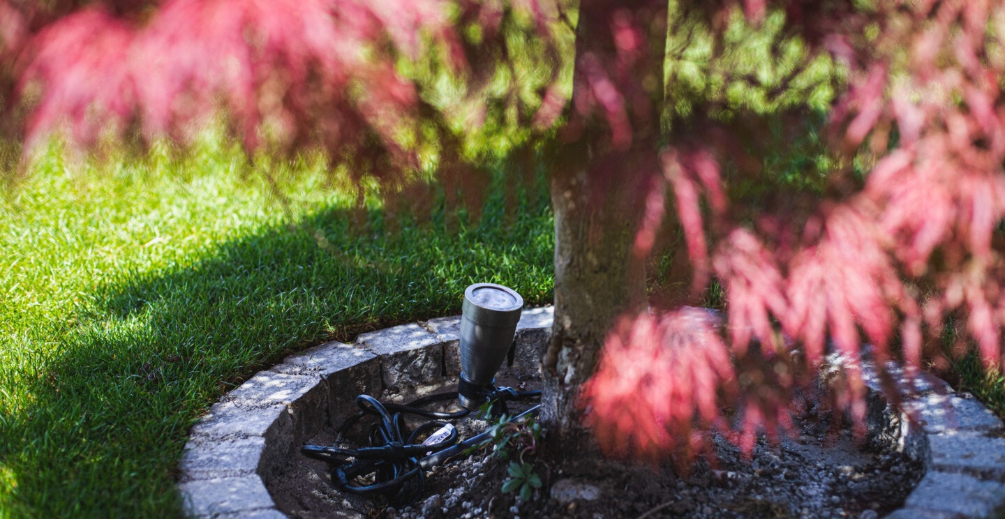 Heissner SMART LIGHTS LED Spot Ein Heissner SMART LIGHTS LED Spot an einem Baum