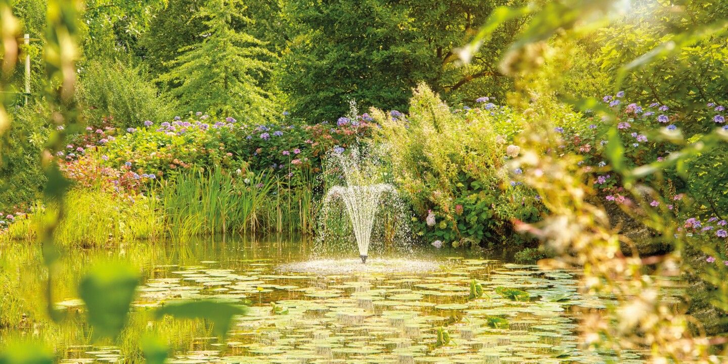 Wasserspiel 5 Oase