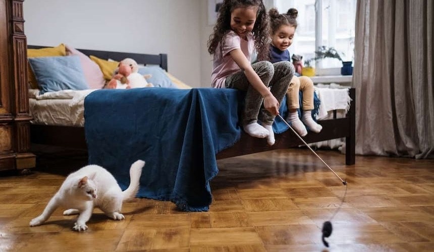 Katzenangel Zwei Mädchen spielen mit der Katze und einer Katzenangel