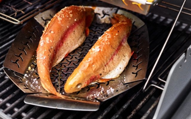 Fisch gegrillter Fisch
