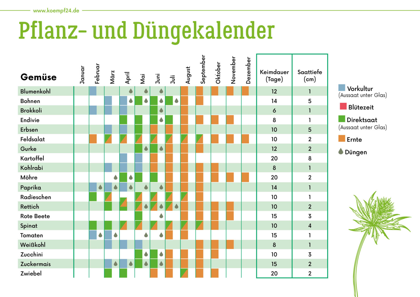 Pflanz- und Düngekalender für Gemüse