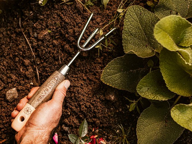 Gartenarbeit im Frühjahr