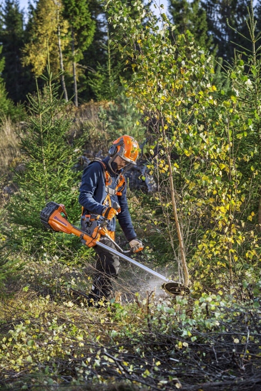 Husqvarna 545FX: kraftvolle Reserven für den Frost Husqvarna 545FX: kraftvolle Reserven für den Frost