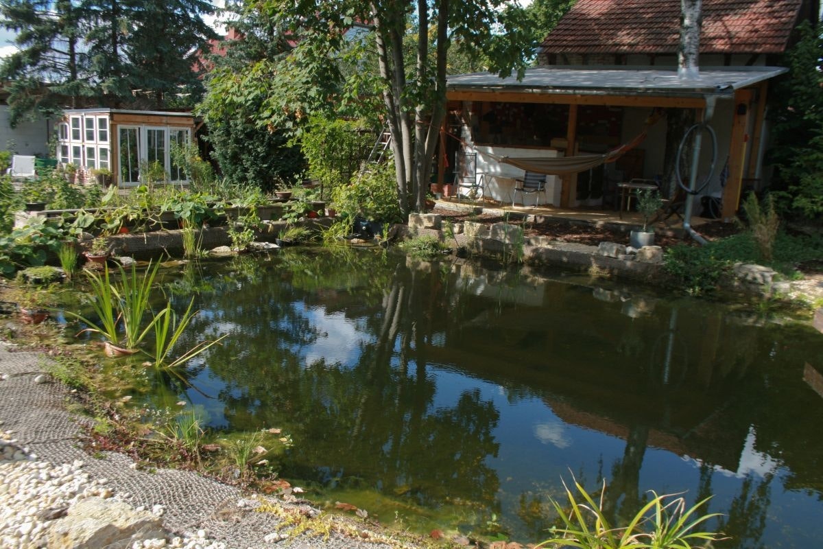 Der Teich passt sich perfekt zwischen die Gemüsebeete und die Gartenhütte mit Bar ein. Teich und Blick auf die Hütte mit Bar