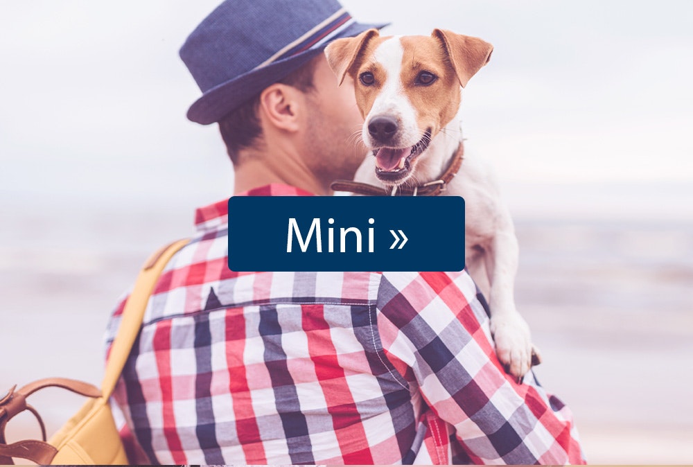 Mini Hundefutter für kleine Hunde von Happy Dog