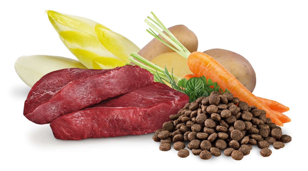 Thermostufenmix® für schonende Zubereitung