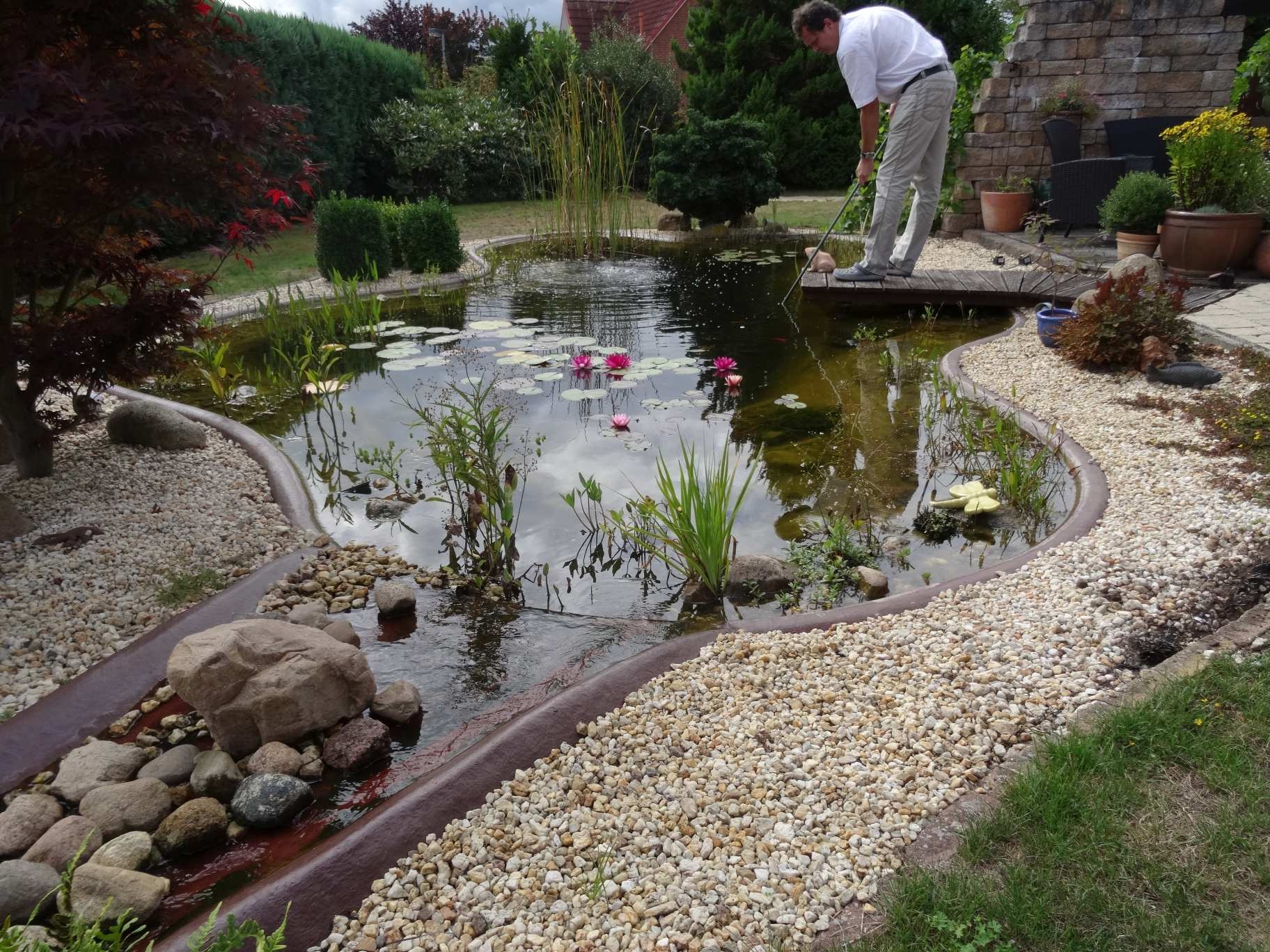 Neues Haus, neuer Teich, neue Leidenschaft