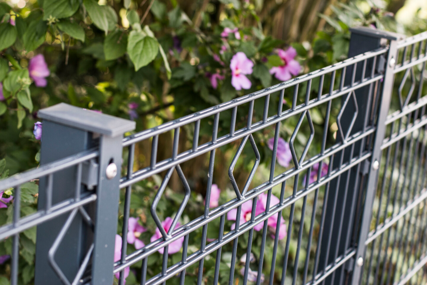 dz Schmuckzaunmatte Residenz standard GIRONA