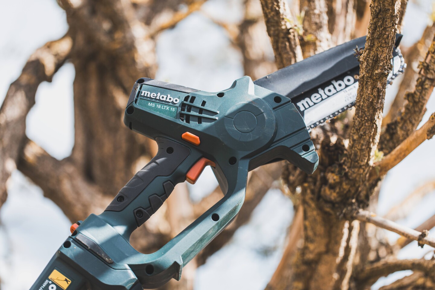 Mit einem Hochentaster können Sie auch ohne Leiter Bäume zurückschneiden