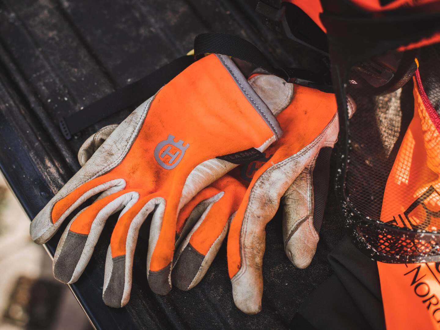 Schutzausrüstung für den Baumschnitt 