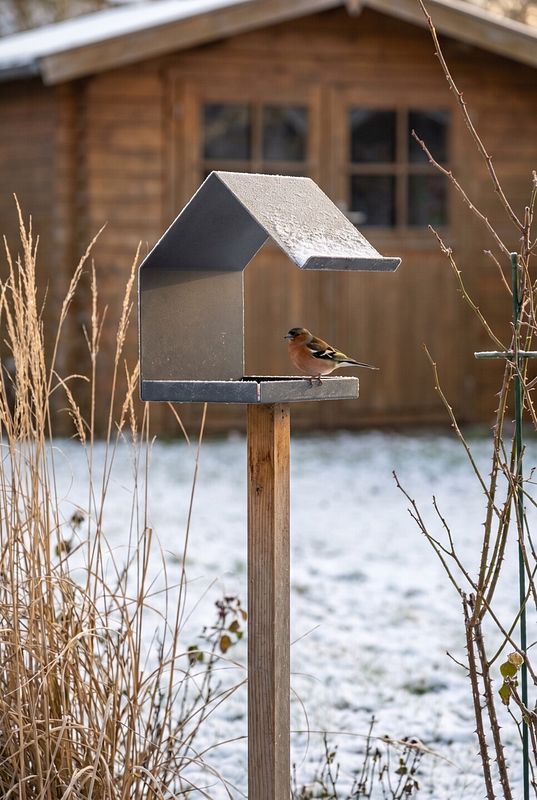 Ein Buchfink pickt Futter am modernen Metall-Vogelhaus im Winter