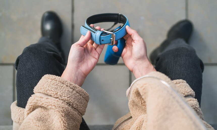 Ein geliebtes Tier zu verlieren ist ein schwerer Schicksalsschlag Frau hält blaues Hundehalsband in der Hand
