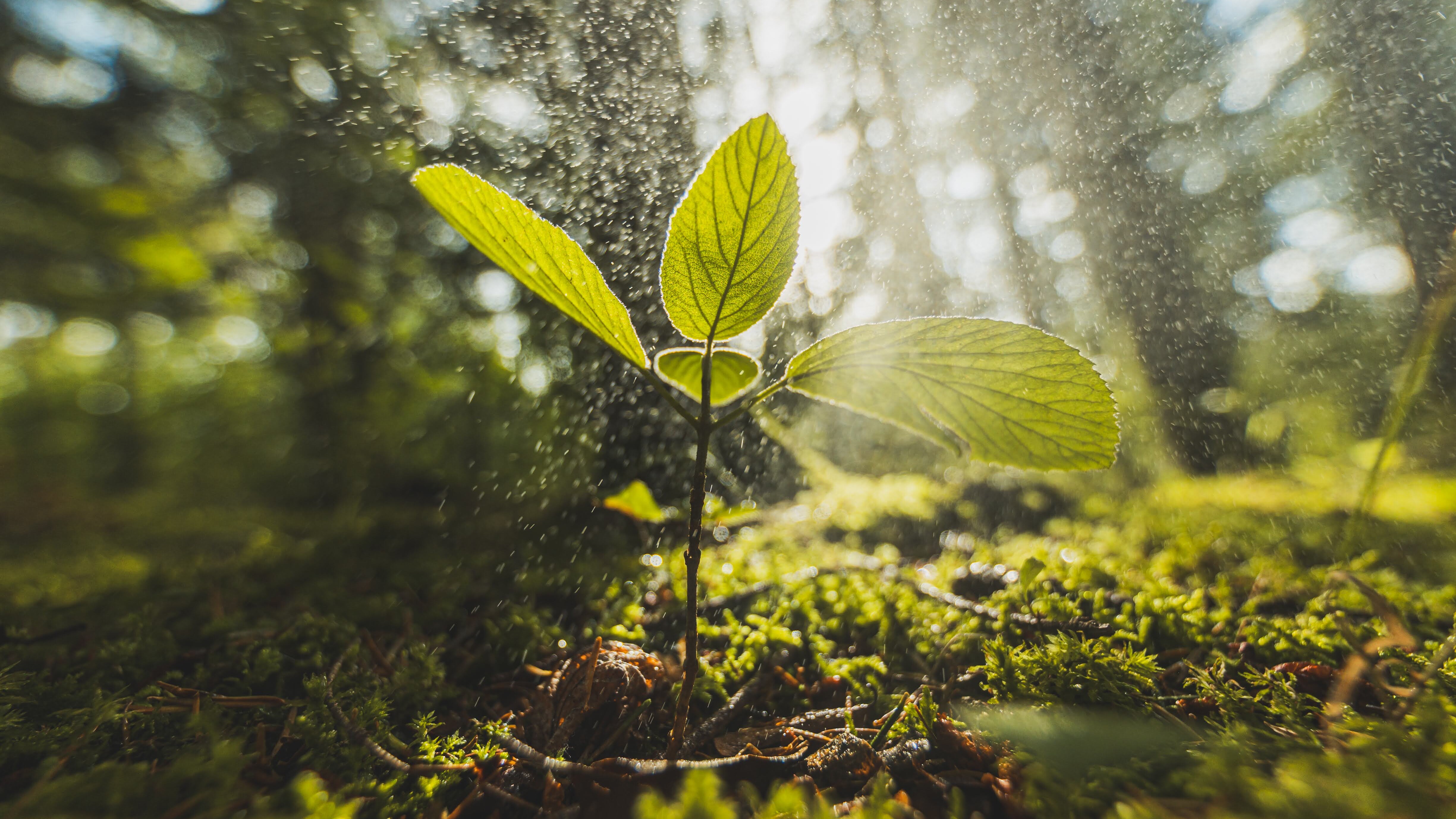 Spezialreiniger von Lithofin