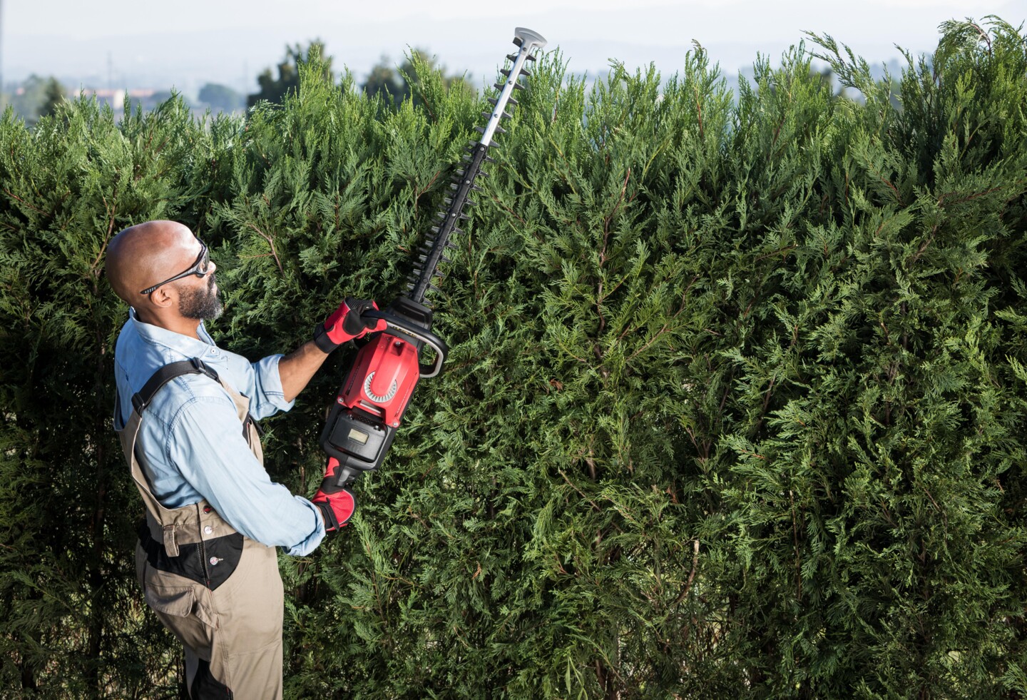 Honda bietet powervolle Heckenscheren entweder mit Motor oder mit Akku an