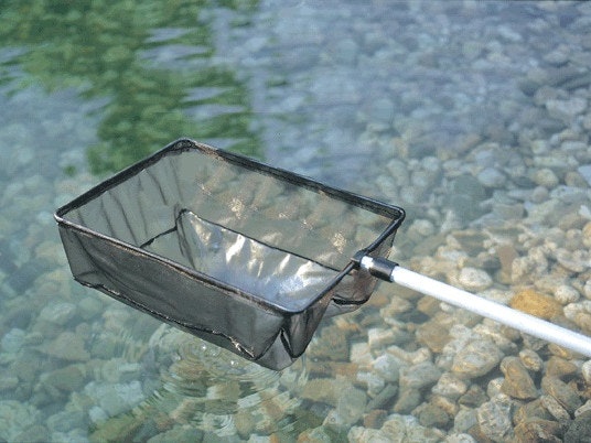 Teichkescher Mit dem Oase Teickescher können Sie Laub und andere schwimmende Fremdkörper aus dem Teich entfernen