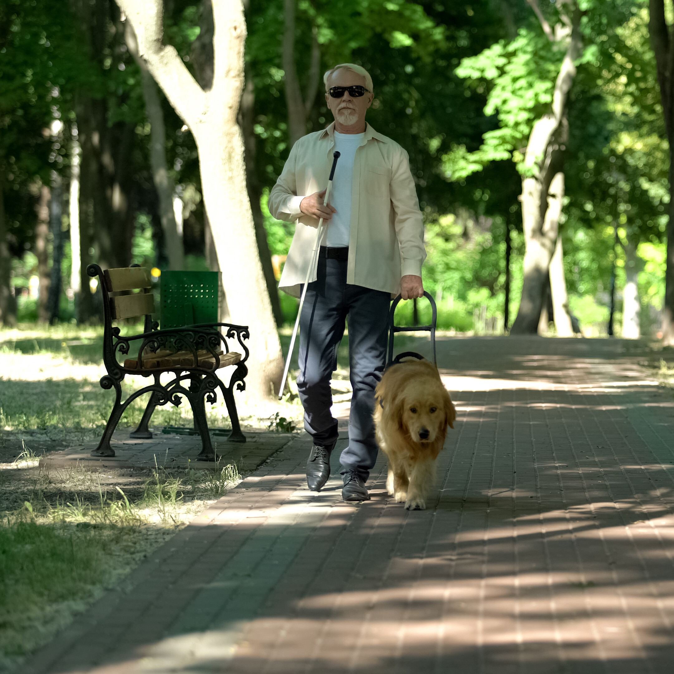 Blindenhunde im Fokus