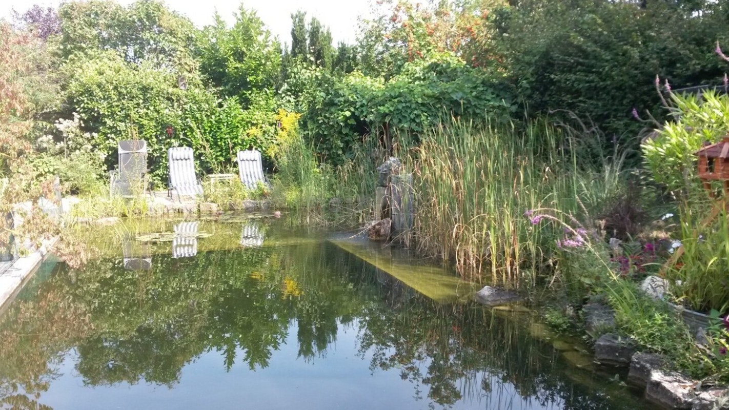 Schwimmteich mit Liegestühlen
