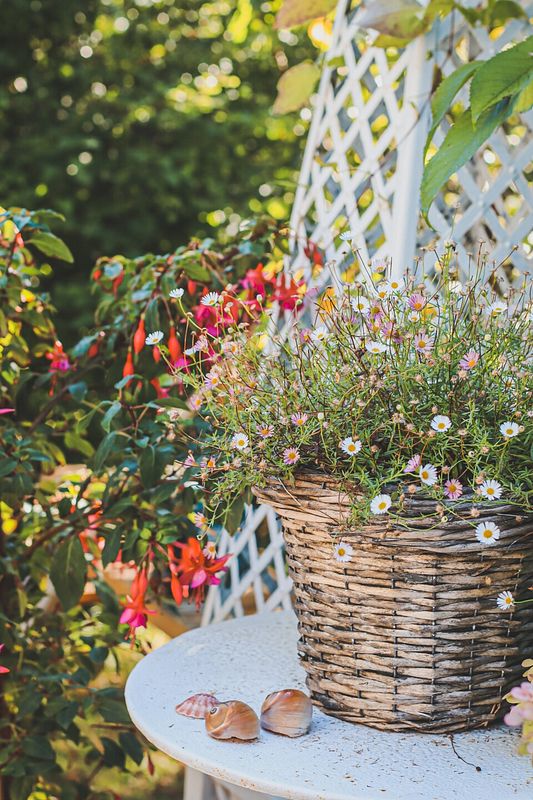 Upcycling: Blumenarrangement in einem Korb