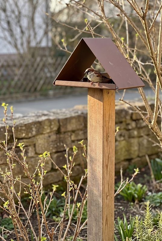 Ein Spatz nutzt das minimalistische Metall-Vogelhaus