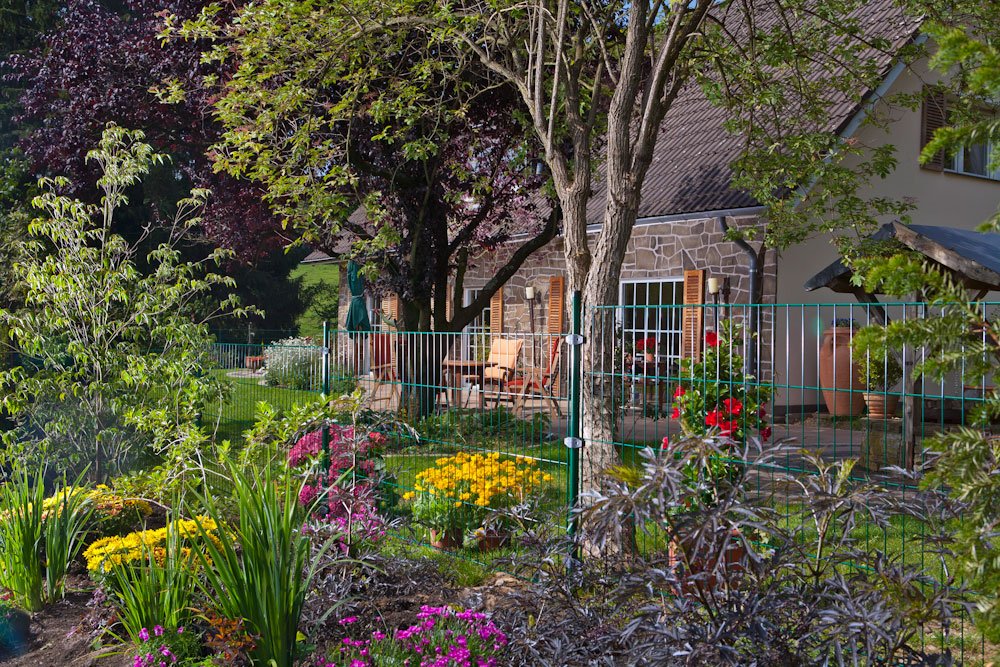 Gittermattenzaun an schön bepflanzter Grundstücksgrenze