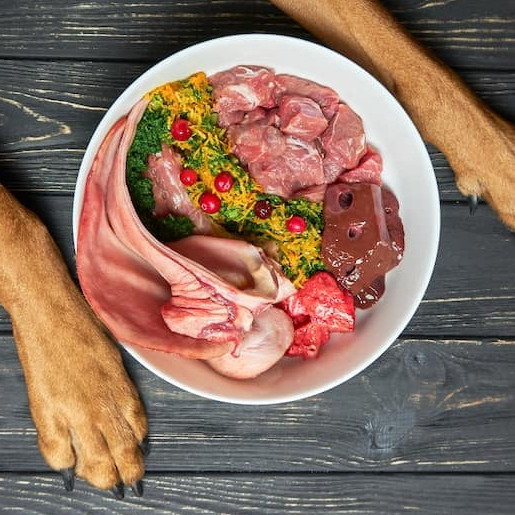 So barfen Sie richtig!