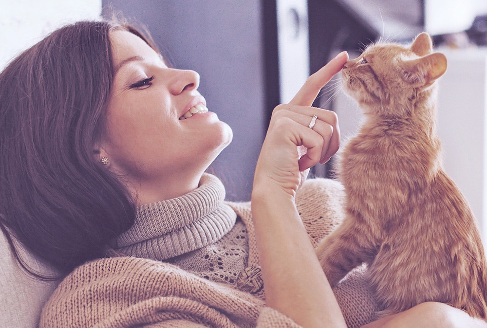 Happy Cat Junior Katzenfutter Junior Katzenfutter von Happy Cat