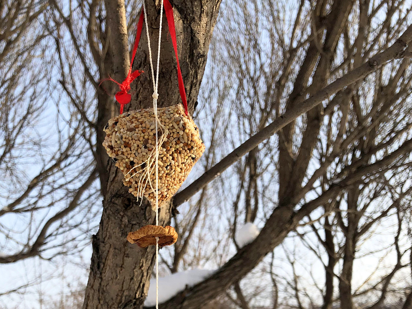 Selbstgemachte Futter-Knödel