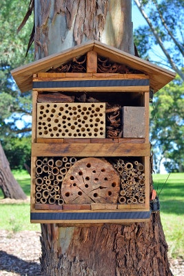 Bienenhotel