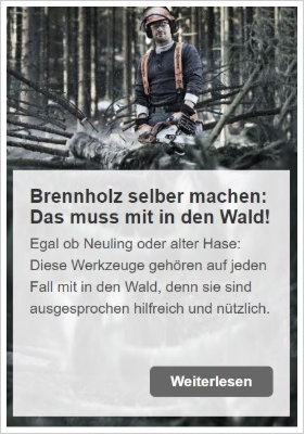 Blogbeitrag Brennholz selber machen