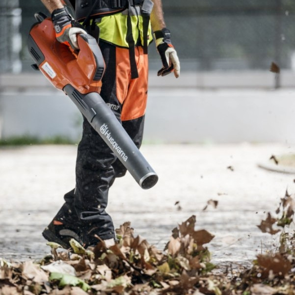 Wichtig im Herbst: Das Laub im Garten entfernen!
