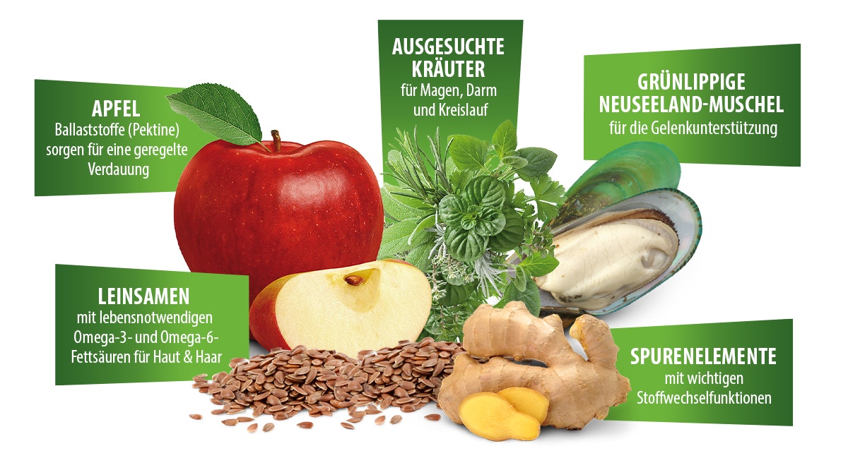 Happy Dog Inhaltsstoffe Hundefutter mit gesunden und natürlichen Inhaltsstoffe