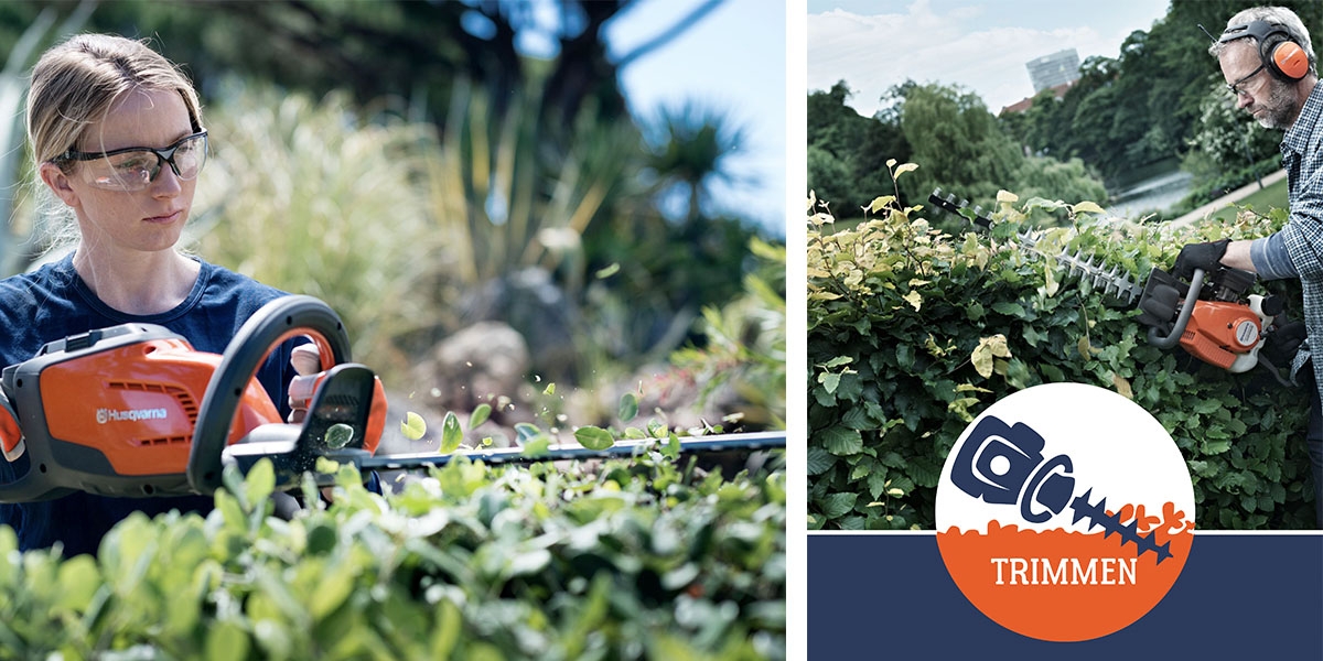 Heckenschere oder Trimmer - was ist geeignet?